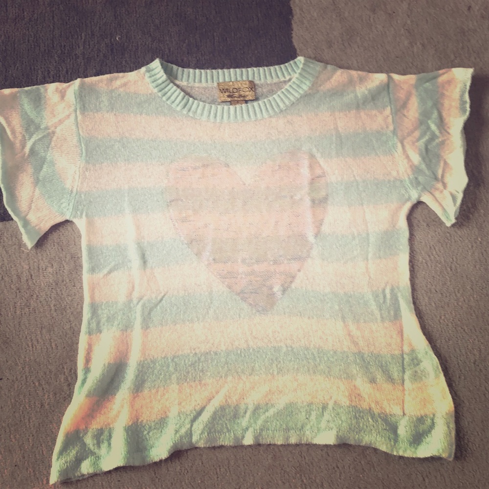 Wildfox Short Sleeve Sequin Sweater